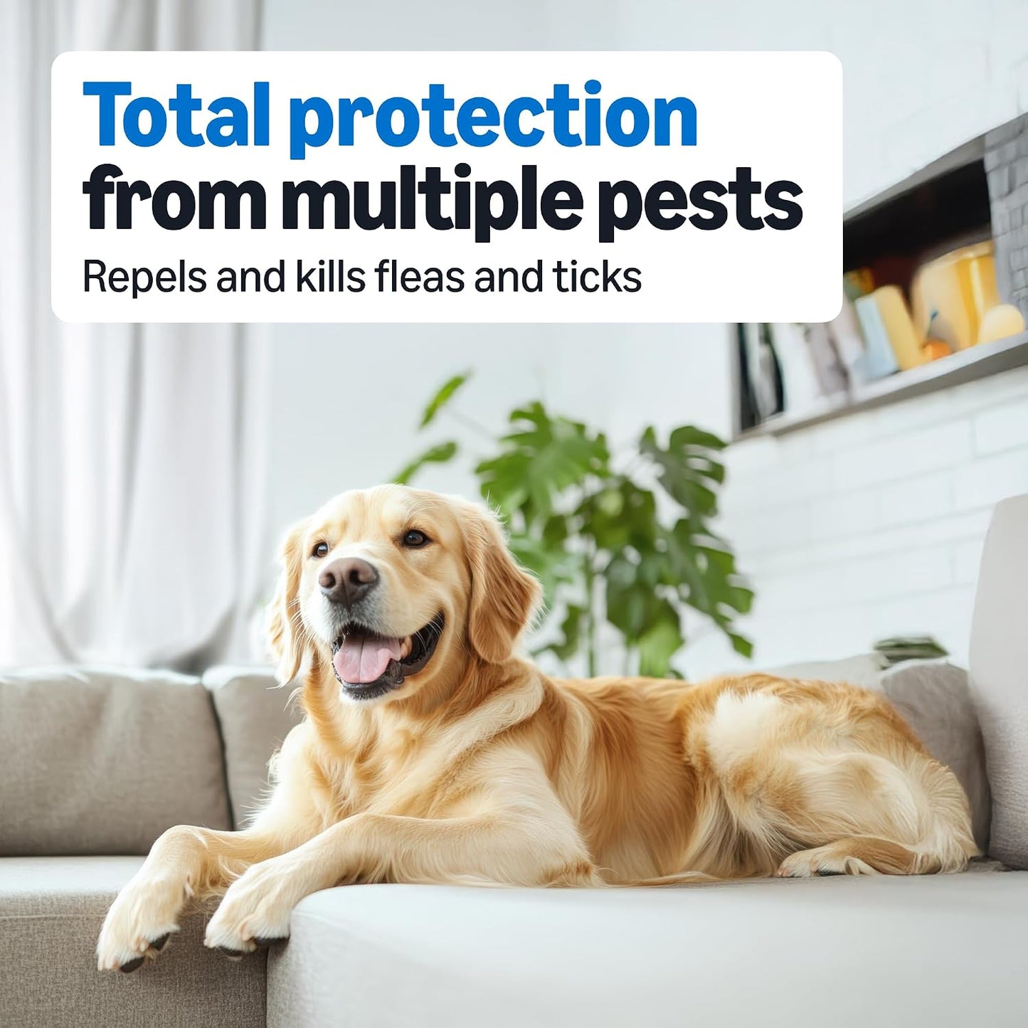 Amazon Basics Flea and Tick Topical Treatment for Medium Dogs (23-44 lbs), Fast Acting and Long Lasting, 3 Count, Packaging May Vary