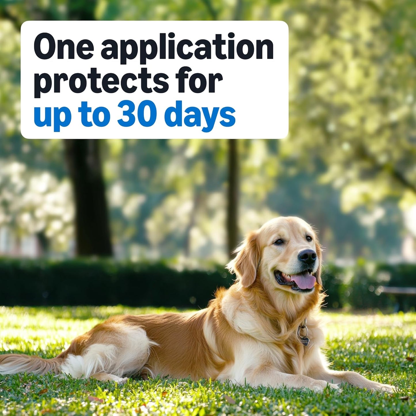 Amazon Basics Flea and Tick Topical Treatment for Medium Dogs (23-44 lbs), Fast Acting and Long Lasting, 3 Count, Packaging May Vary